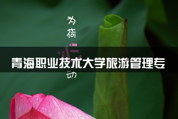 青海职业技术大学旅游管理专业怎么样 录取分数线多少