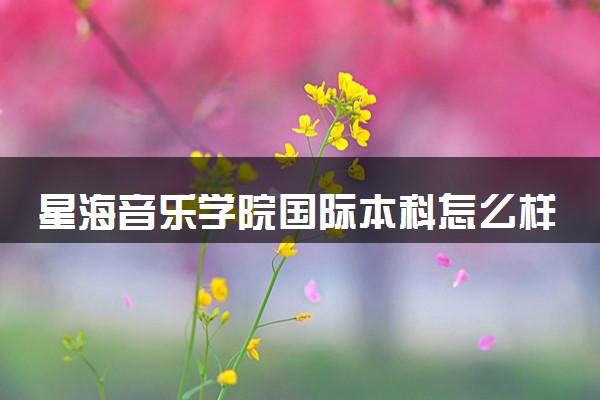 星海音乐学院国际本科怎么样 毕业生的就业率如何