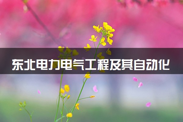 东北电力电气工程及其自动化中外合作怎么样 值得读吗
