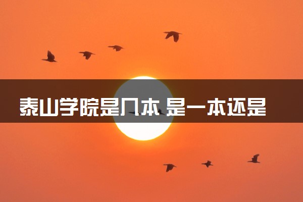 泰山学院是几本 是一本还是二本大学