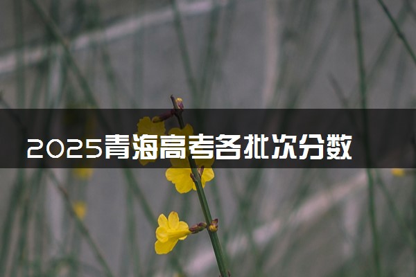 2025青海高考各批次分数线预测最低录取分预估