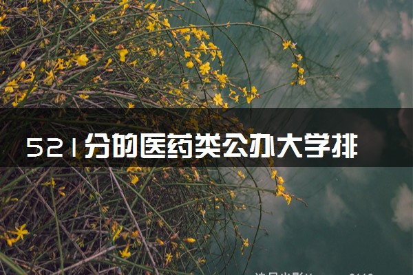 521分的医药类公办大学排行榜（2025考生参考)