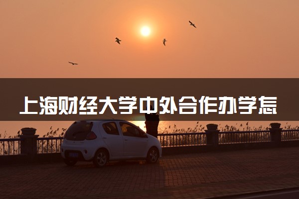 上海财经大学中外合作办学怎么样 优缺点有哪些