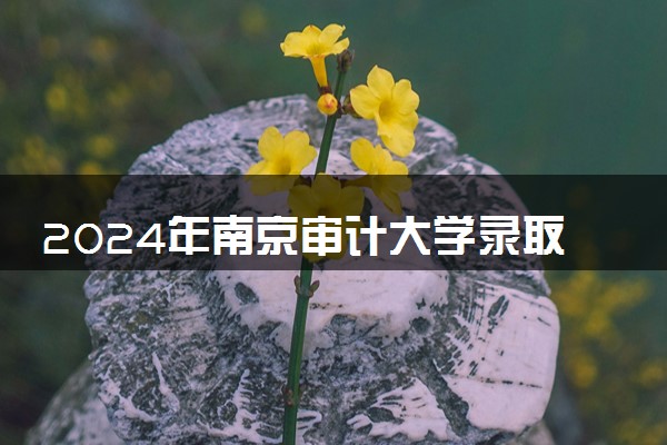 2024年南京审计大学录取分数线是多少 各省最低分数线及位次