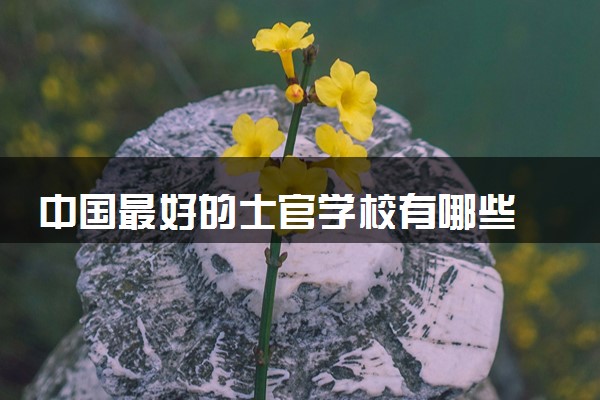 中国最好的士官学校有哪些 实力强的院校推荐