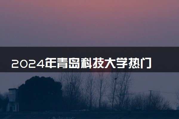 2024年青岛科技大学热门专业全国排名 有哪些专业比较好