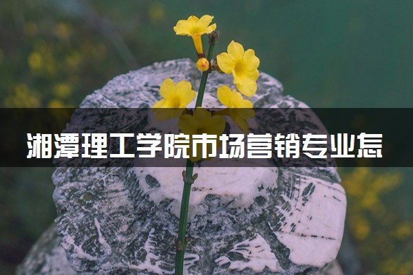 湘潭理工学院市场营销专业怎么样 录取分数线多少