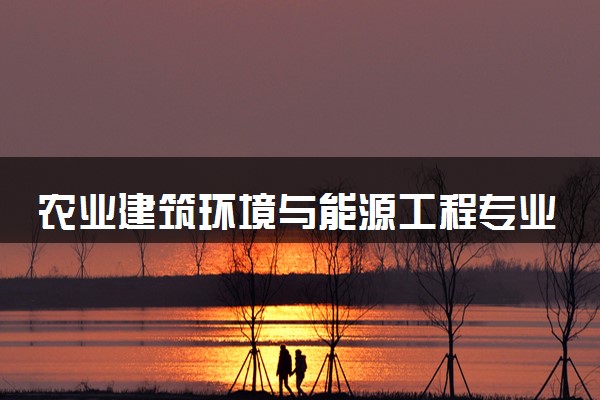 农业建筑环境与能源工程专业2024年大学排名 最好的大学排行榜