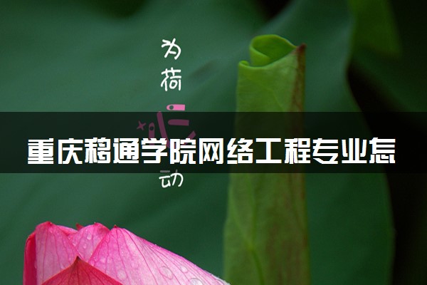 重庆移通学院网络工程专业怎么样 录取分数线多少