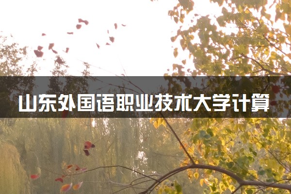 山东外国语职业技术大学计算机网络技术专业怎么样 录取分数线多少