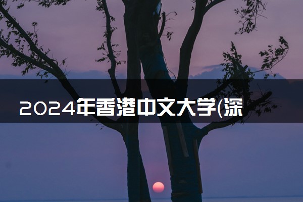 2024年香港中文大学（深圳）热门专业全国排名 有哪些专业比较好