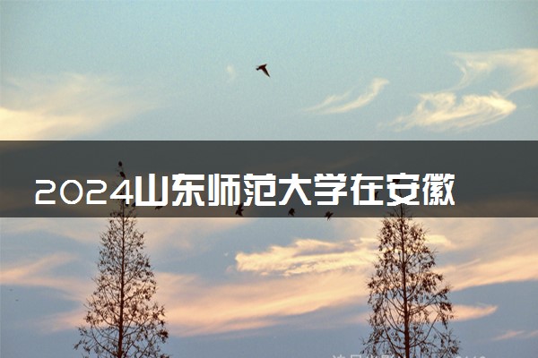 2024山东师范大学在安徽录取分数线 各专业分数及位次