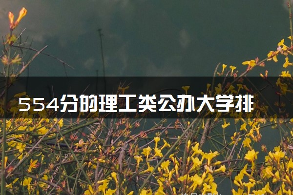 554分的理工类公办大学排行榜（2025考生参考)