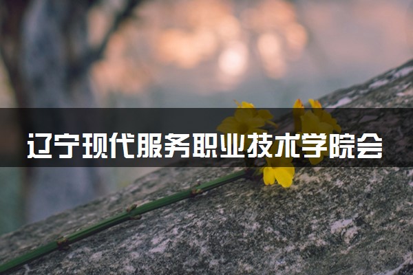 辽宁现代服务职业技术学院会计信息管理专业怎么样 录取分数线多少