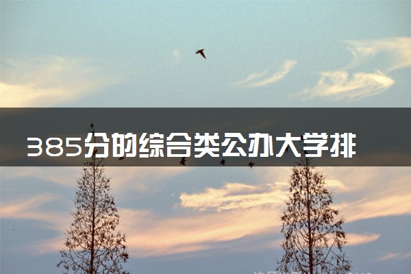 385分的综合类公办大学排行榜（2025考生参考)