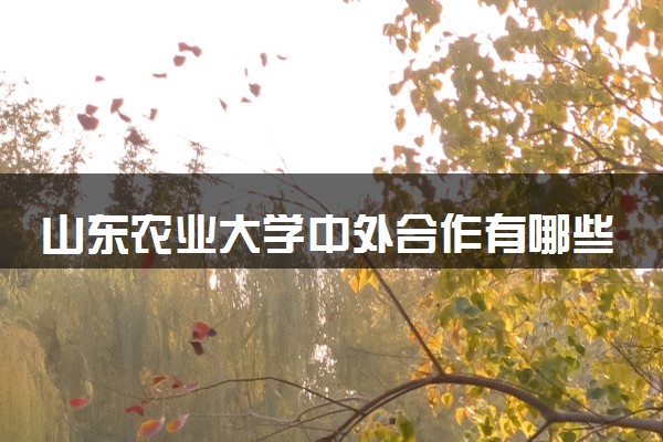 山东农业大学中外合作有哪些专业 毕业后是什么学位