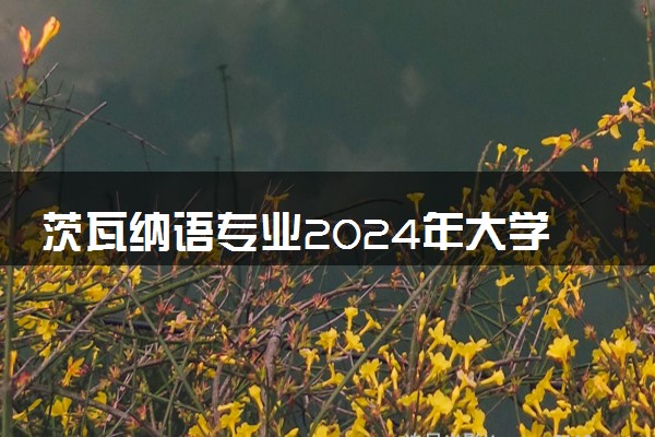 茨瓦纳语专业2024年大学排名 最好的大学排行榜
