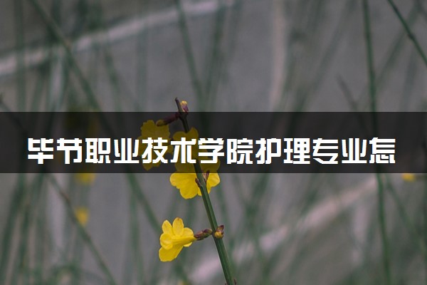 毕节职业技术学院护理专业怎么样 录取分数线多少