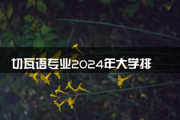切瓦语专业2024年大学排名 最好的大学排行榜