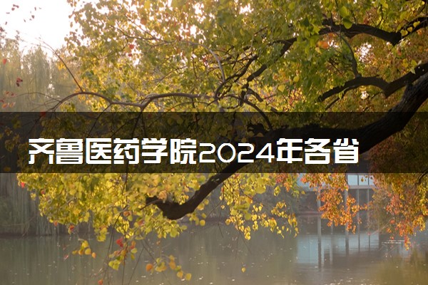 齐鲁医药学院2024年各省录取分数线 多少分能考上