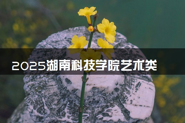 2025湖南科技学院艺术类各省各专业录取分数线汇总