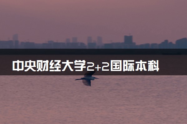 中央财经大学2+2国际本科学费 一年大概要花多少钱