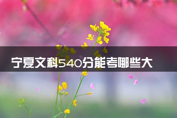 宁夏文科540分能考哪些大学 2025考生稳上的大学名单