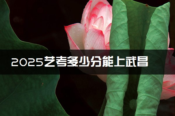 2025艺考多少分能上武昌职业学院 最低分数线是多少