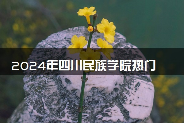 2024年四川民族学院热门专业全国排名 有哪些专业比较好