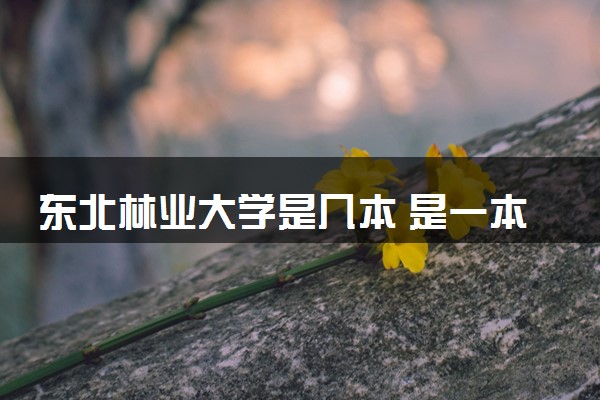 东北林业大学是几本 是一本还是二本大学