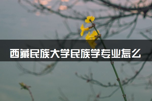 西藏民族大学民族学专业怎么样 录取分数线多少