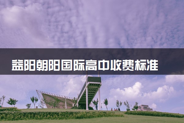 益阳朝阳国际高中收费标准 是公立还是私立