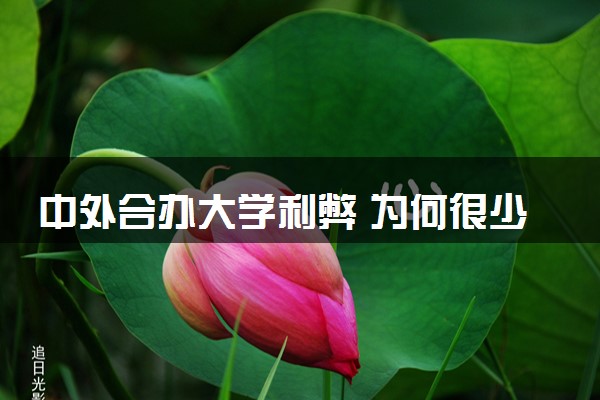 中外合办大学利弊 为何很少人读