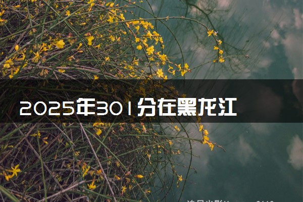 2025年301分在黑龙江上什么大学好 近三年录取分数线是多少