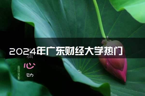 2024年广东财经大学热门专业全国排名 有哪些专业比较好