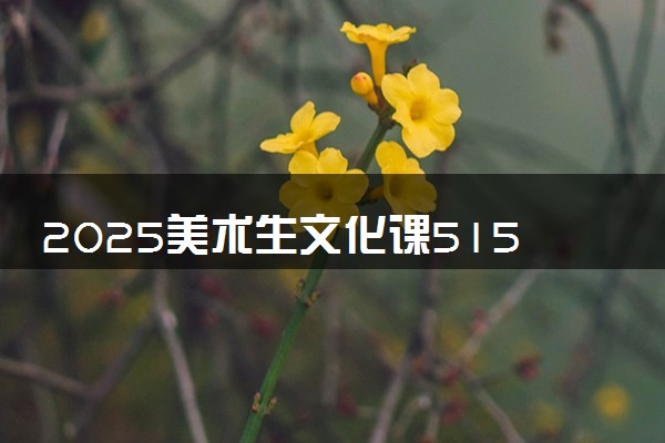 2025美术生文化课515分能上华北水利水电大学吗