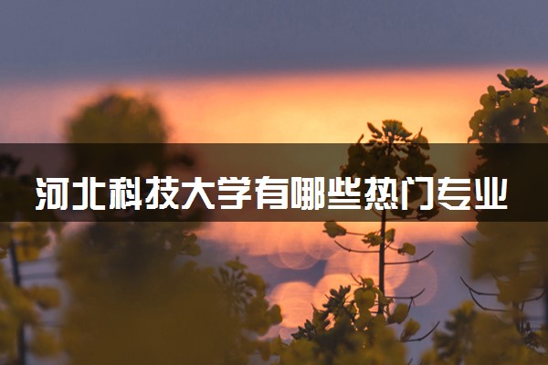 河北科技大学有哪些热门专业 推荐的王牌专业