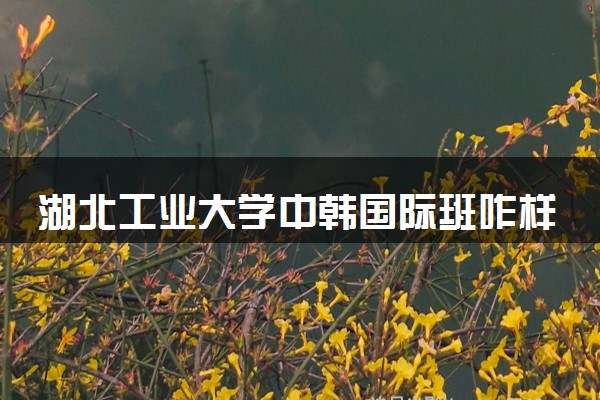 湖北工业大学中韩国际班咋样 值得读吗
