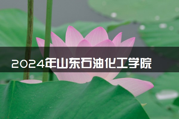 2024年山东石油化工学院热门专业全国排名 有哪些专业比较好