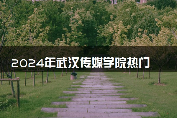 2024年武汉传媒学院热门专业全国排名 有哪些专业比较好