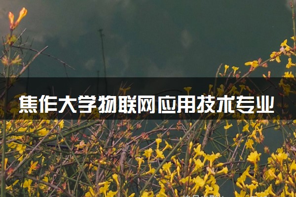 焦作大学物联网应用技术专业怎么样 录取分数线多少