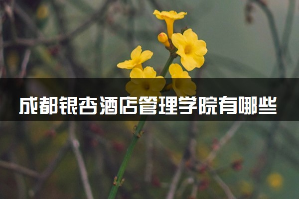 成都银杏酒店管理学院有哪些热门专业 推荐的王牌专业