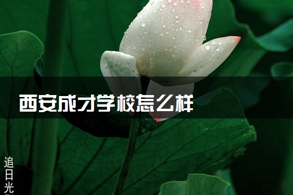 西安成才学校怎么样