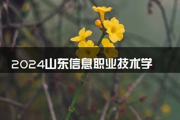 2024山东信息职业技术学院在广西录取分数线 各专业分数及位次