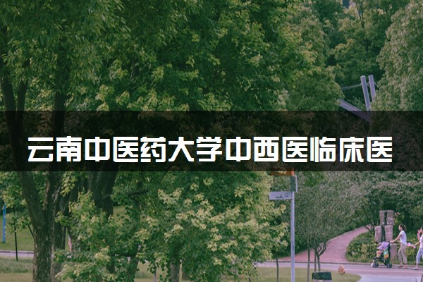 云南中医药大学中西医临床医学专业怎么样 录取分数线多少