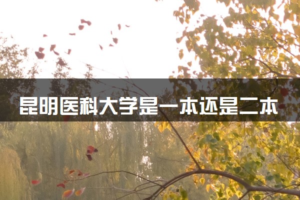 昆明医科大学是一本还是二本 算好大学吗