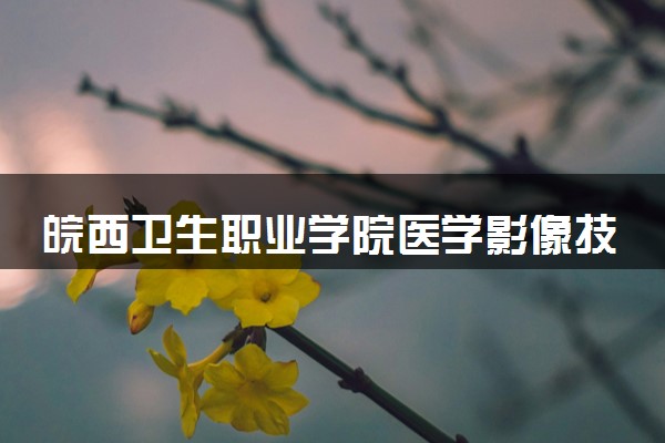 皖西卫生职业学院医学影像技术专业怎么样 录取分数线多少
