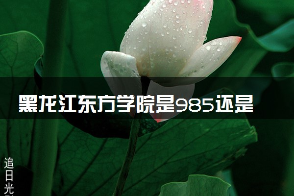 黑龙江东方学院是985还是211 含金量怎么样