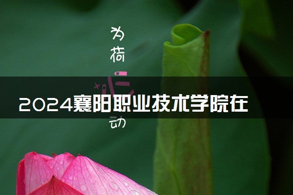 2024襄阳职业技术学院在浙江录取分数线 各专业分数及位次