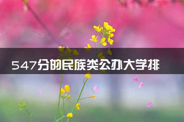 547分的民族类公办大学排行榜（2025考生参考)